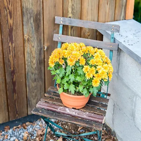 Peaceful & Garden Tatil Evi *