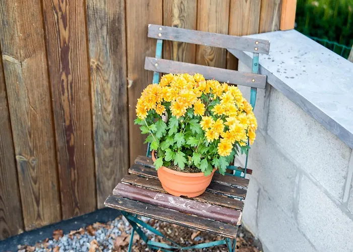 Peaceful & Garden Casa de Férias *